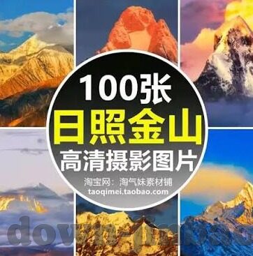 传送门骑士九游版下载-传送门骑士，九游版下载体验与角色分析