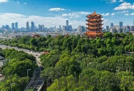 竞秒足球比分-竞秒足球比分，一场速度与激情的较量，揭秘背后的数据狂潮