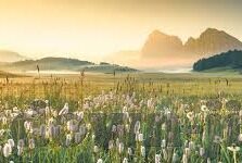 世界杯俄罗斯胜利-俄罗斯世界杯胜利，足球激情与荣耀的交响曲